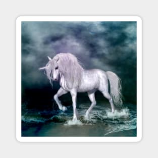 Beautiful unicorn Magnet