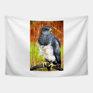 Chilean Eagle Black Chested Buzzard Tapestry