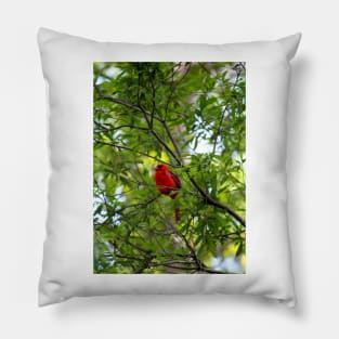 Perched Cardinal Pillow