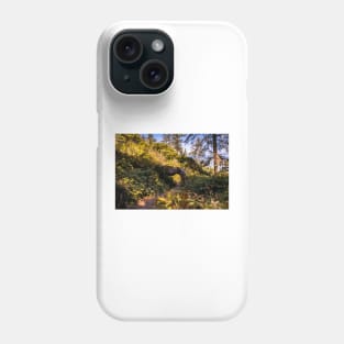 Hiking trail and a tree tunnel Phone Case