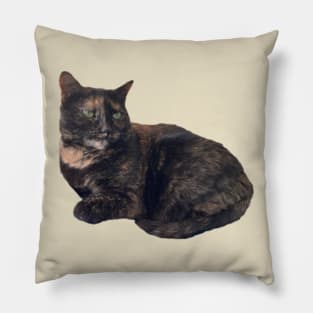 Tortie Cat Pillow