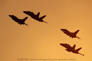 F-16 and CF-18 Formation Gold 1-Sided Magnet