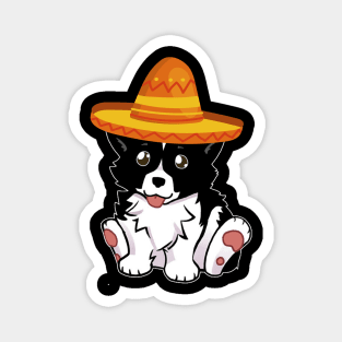 Cute dog border collie mexico cinco de mayo t shirt Magnet