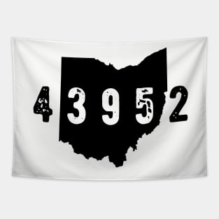 43952 Zip Code Ohio Valley Tapestry