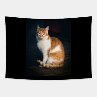 Picture of a cat sitting on the floor Tapestry