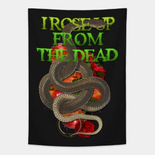 I rose up from the dead. Tapestry
