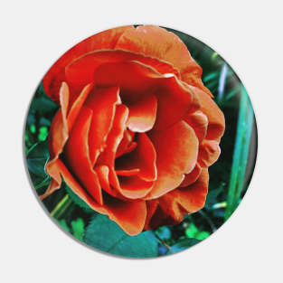 Orange Chinese Rose Pin