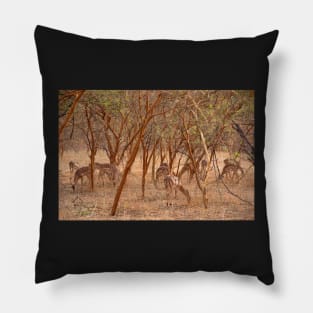 Impala Pillow