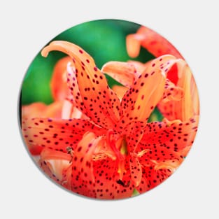 Display of Speckled Orange Tiger Lilies Pin