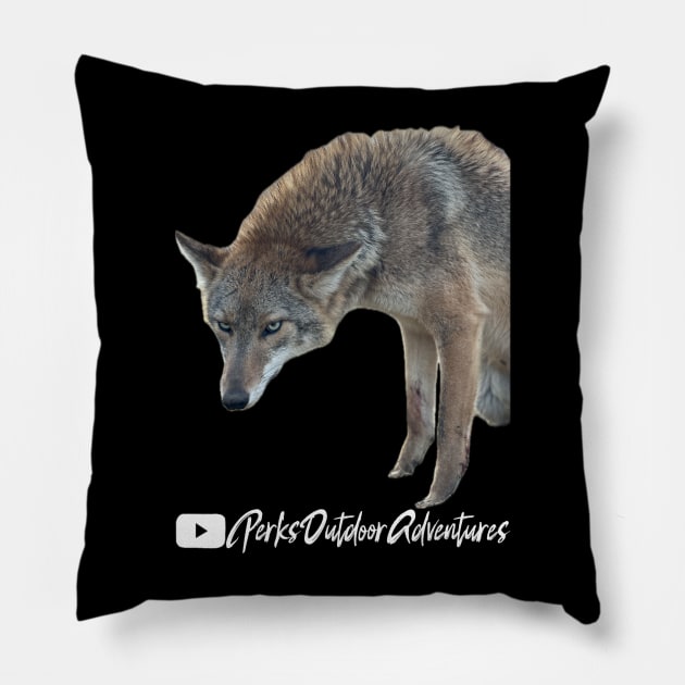 Coyote stuck in a trap! Pillow by Perks Outdoor Adventures