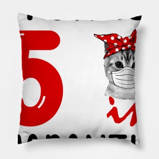 I Turned 5 In Quarantine Funny Cat Facemask Pillow