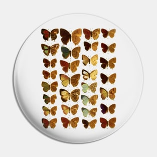 butterfly Pin