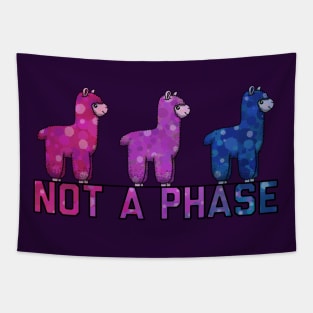 Not A Phase Tapestry