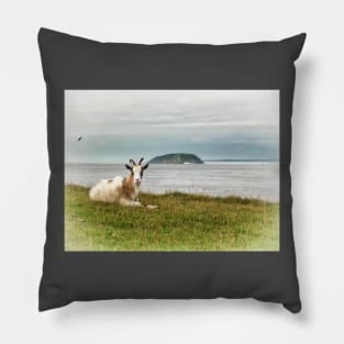 Goat Relaxing on Brean Down, Somerset art. British landscape Pillow