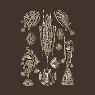 Ernst Haeckel Ostraciontes Fish  Wenge T-Shirt