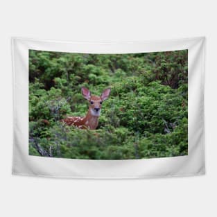 Fawn - White-tailed Deer Tapestry