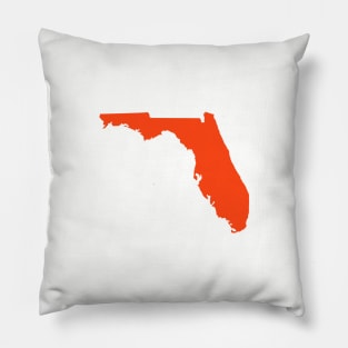 Gainesville Florida Pillow