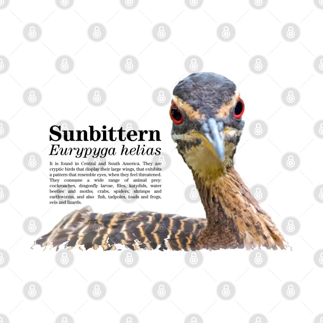 Sunbittern torpical bird black text by Ornamentum