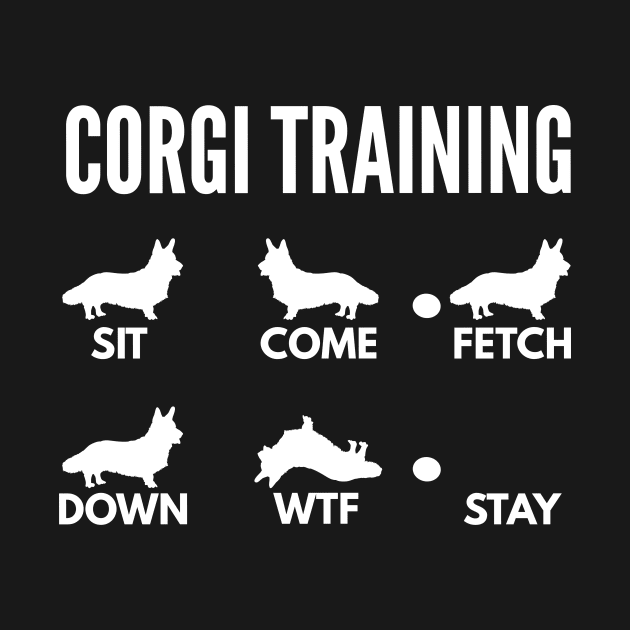 Corgi Training Cardigan Welsh Corgi Tricks by DoggyStyles