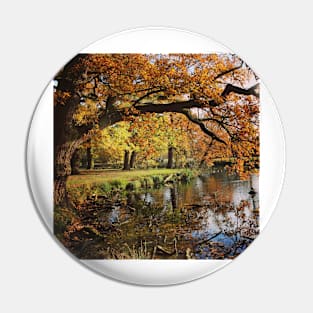 Autumnal lake scene Pin