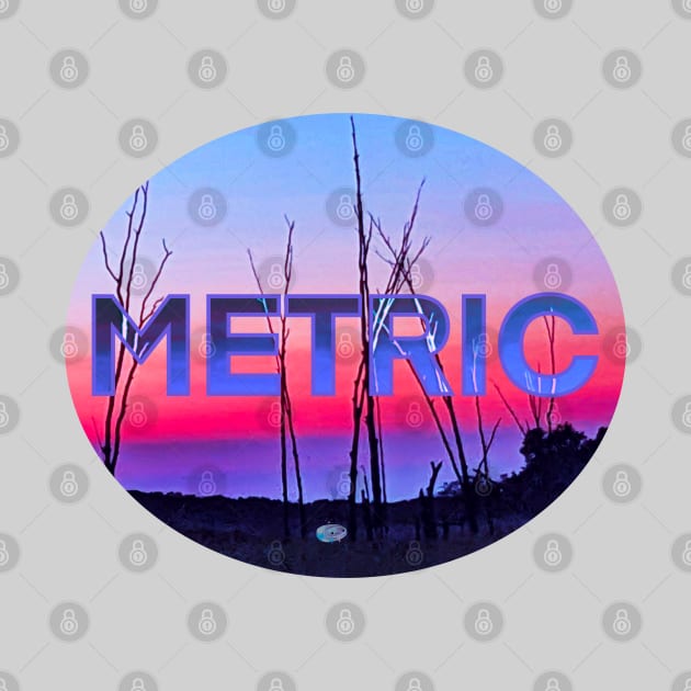 Metric by Noah Monroe