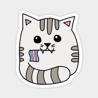 transgender pride flag cat Magnet