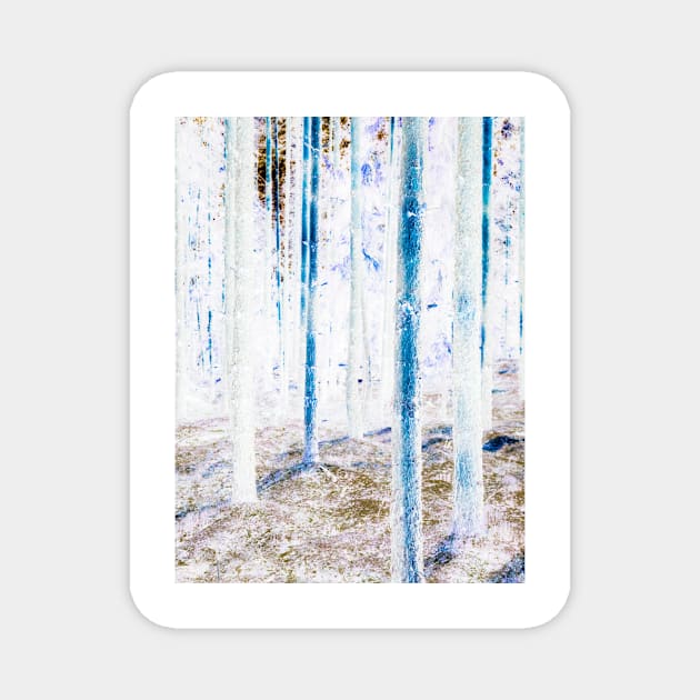 Mystic Forest Magnet by ansaharju