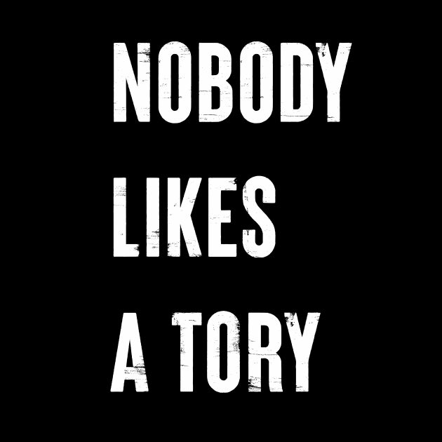 Nobody Like A Tory by n23tees