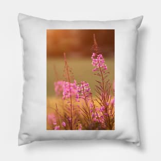 Great Willow-Herb Pillow