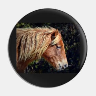 Assateague Pony Portrait Pin