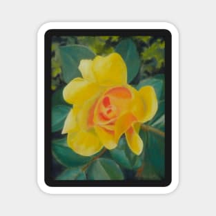 Yellow Rose Magnet