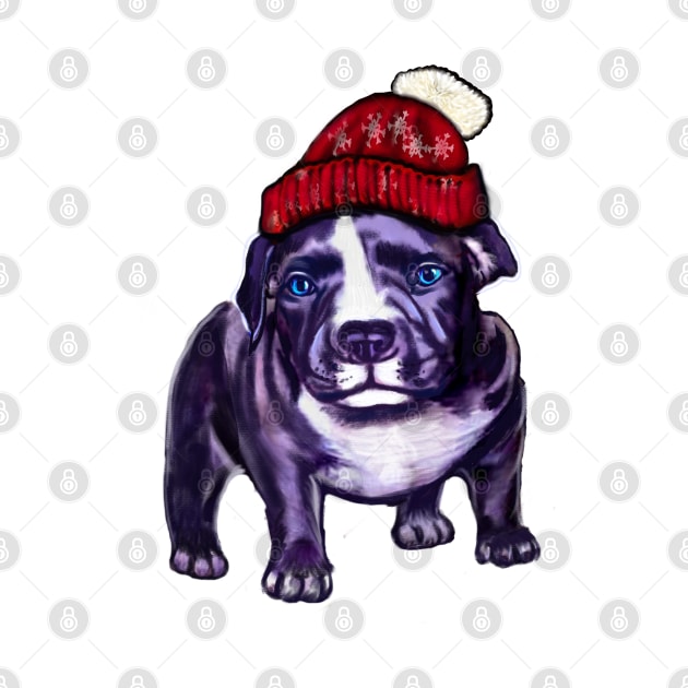 pit bull dog puppy in a red beanie hat - cute blue line pittie with piercing blue eyes by Artonmytee