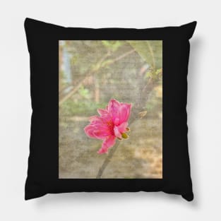 Peach tree blossom with texture Pillow