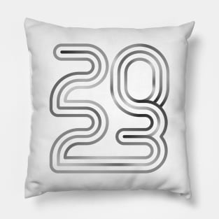 2023 Pillow