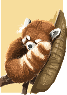 Red Panda Magnet