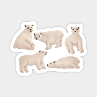 Polar bears Magnet