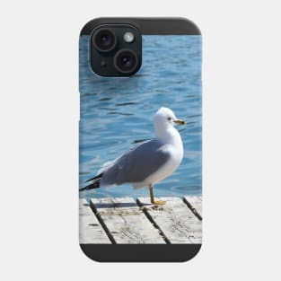 A Gull Standing On A Wooden Walkway Phone Case