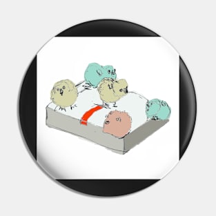 Chicks in a Box Pin