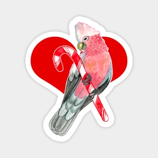 Galah Cockatoo Perching on Candy Cane Magnet