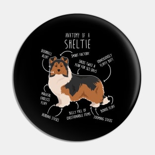 Sheltie Shetland Sheepdog Anatomy Pin