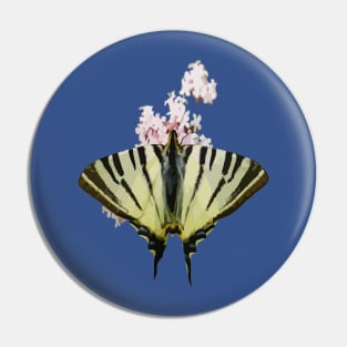 Swallowtail On Wild Garlic Flowers Cut Out Pin