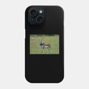 Blackbuck Phone Case