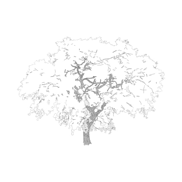 incomplete oak tree by 00Daniel23