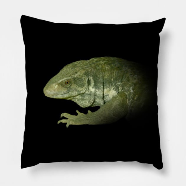 Monitor lizard Pillow by Guardi