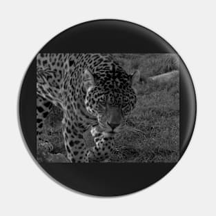 Jaguar Pin