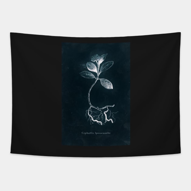 Cyanotype - Cephaelis Ipecacuanha Tapestry by PixelHunter
