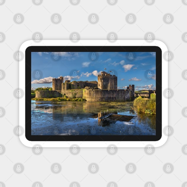 Caerphilly Castle in Wales South Facing Walls Magnet by IanWL