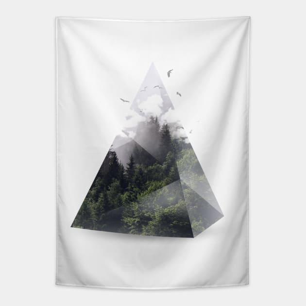 Triangle Alpha Tapestry by astronaut