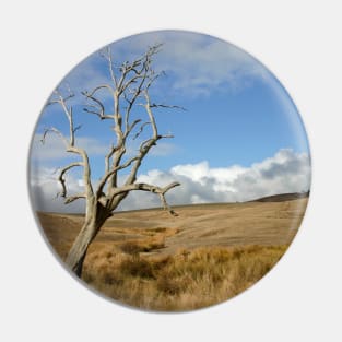 Australian Landscape 1 Pin