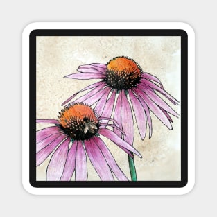 Echinacea 2 Magnet